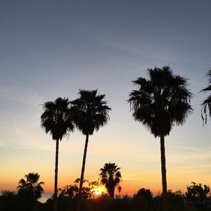 Meet your Posher, Daneece